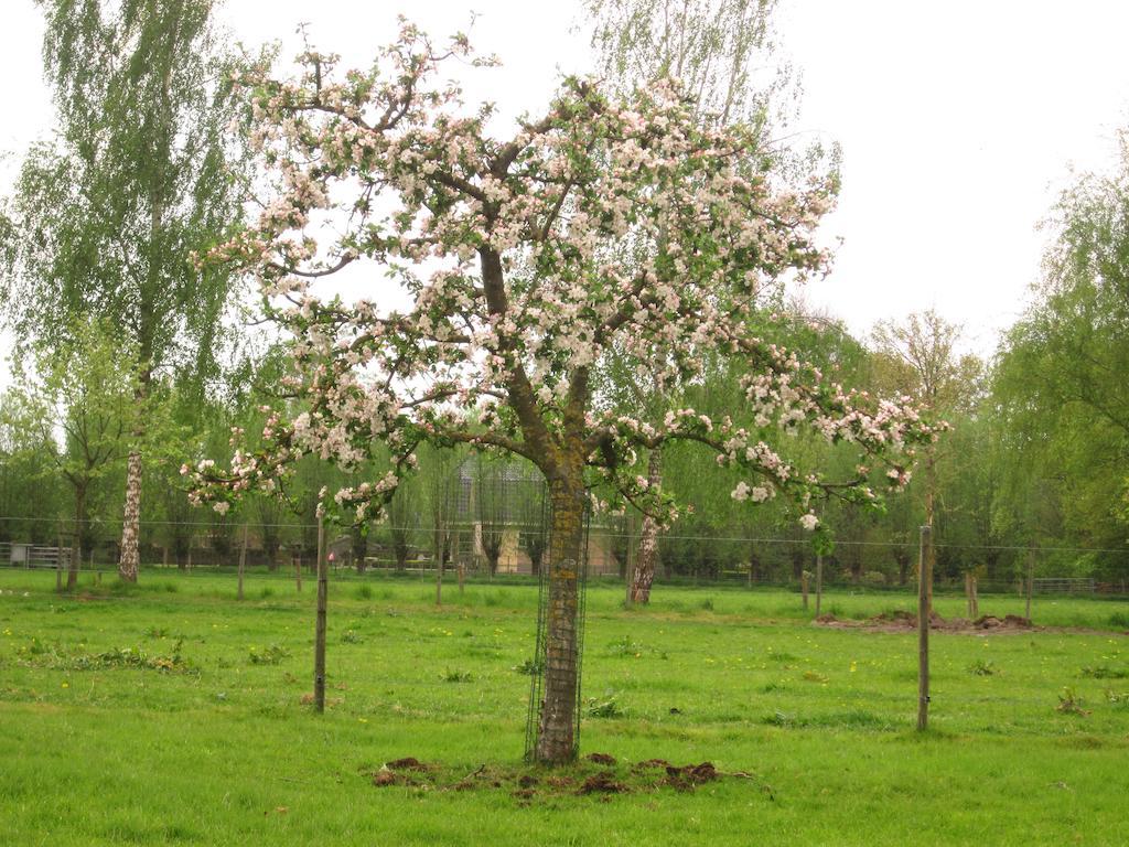 Bed And Breakfast Klein Groenbergen Leersum Bagian luar foto