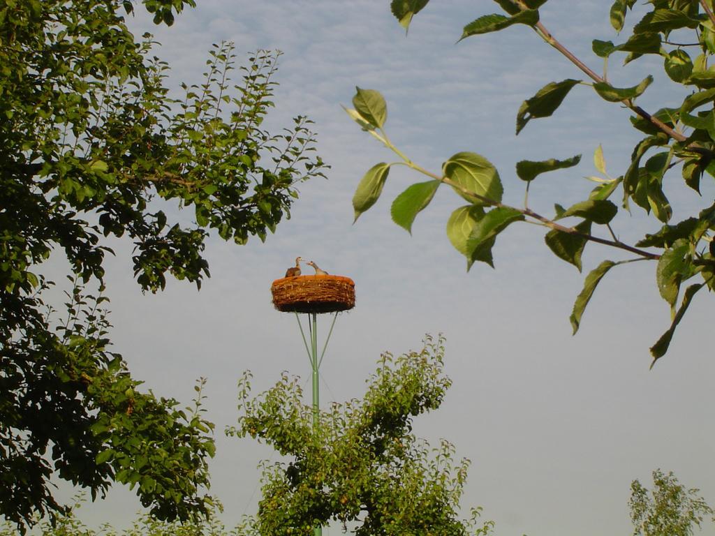 Bed And Breakfast Klein Groenbergen Leersum Bagian luar foto